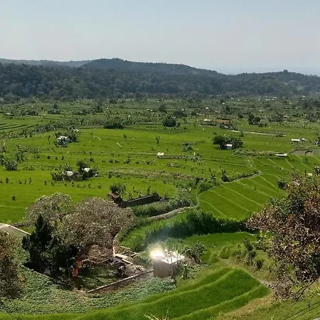 Puri Prima Bungalows